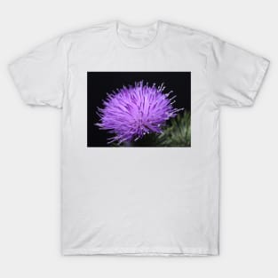 Glowing Thistle T-Shirt